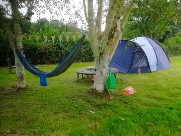 Lovely set up under the birch trees.