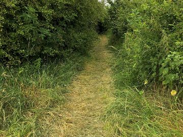 The walk to the lower derwent valley national nature reserve viewing point in the village centre