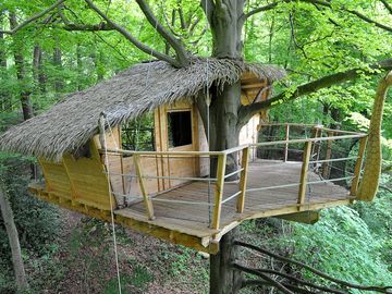 Exterior view of the treehouse and terrace