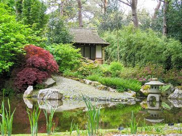 Pond in the gardens