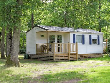 Peaceful place in the woods