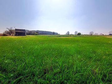 Open meadow