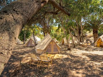 Tents among the trees (added by manager 14 aug 2023)