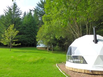 Geodesic domes among the trees