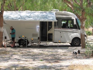 Shaded tent and camper pitches