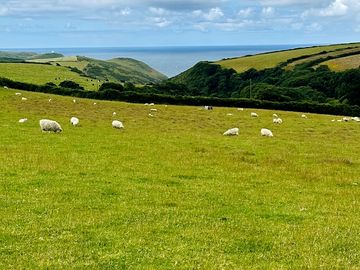 The lovely views from site!