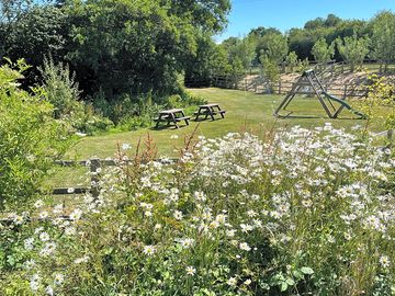 The picnic area with swings and slides