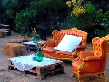 Antique chairs and pretty glassware