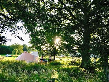 Five-metre bell tent (added by manager 02 apr 2022)