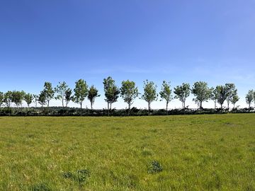 Site