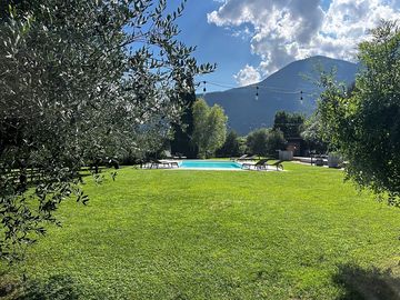 Pool and sun deck surrounded by greenery