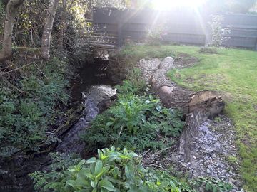 View of part of the stream, by pitches 7, 8 and 9