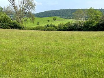 Porlock vale campsite field in may (added by manager 22 may 2024)