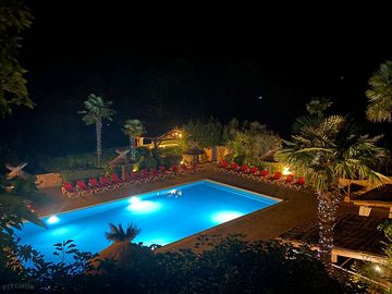 The palm-lined pool by night (added by manager 19 nov 2023)