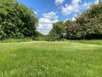 Views around the farm