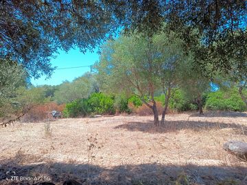Terreno autonomo in campagna e vicino al mare, sardegna, per camper o roulotte, 20 euro al giorno
