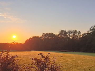 Sunrise over the site