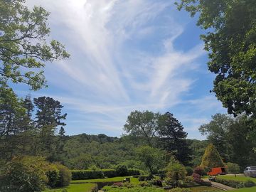 Grounds
