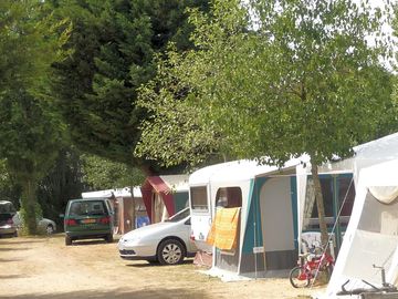 Pitches among the trees