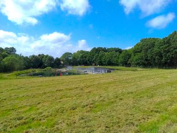 The grass pitch