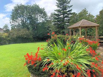 Bursts of colour to liven up your stay (added by manager 12 jun 2020)