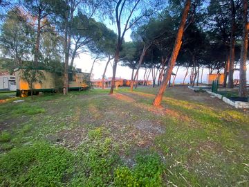 Large and well-shaded pitches
