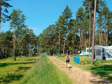 Path through the pitches