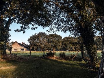 Champ derrière la maison