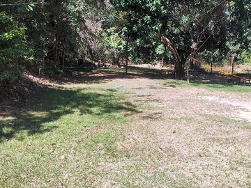 Sunny and shaded spots