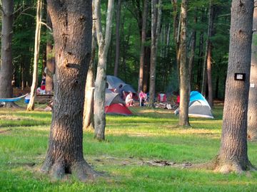 Tenting in the woods