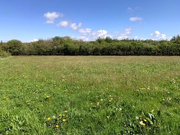 Grassy pitches