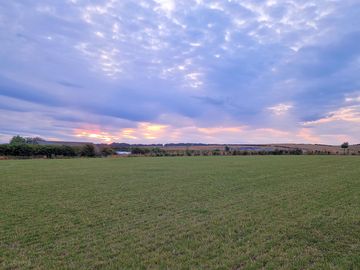 Grass pitches
