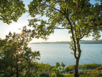 Lake view from the site