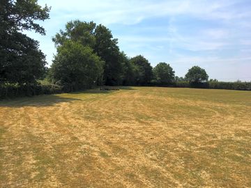 A wide and green site