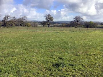 Non-electric grass pitches