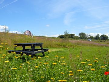 Camping pitch with picnic table