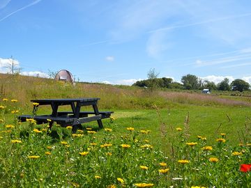 Camping pitch with picnic table (added by manager 16 feb 2023)