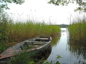 Boat on the lake