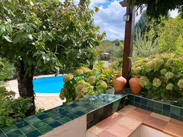 View to the pool