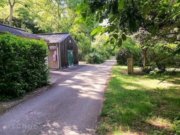 Lush and leafy campsite