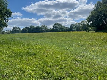 Highfield pitches