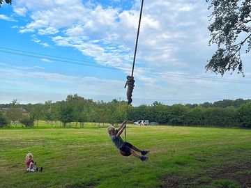 Giant tree swing for all ages!