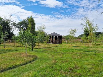 Peaceful garden