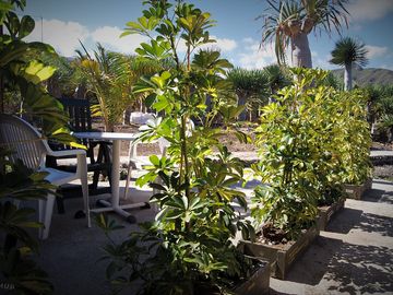 Private terrace
