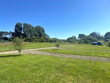 Freshly mown electric pitches