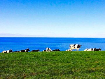 Sea views