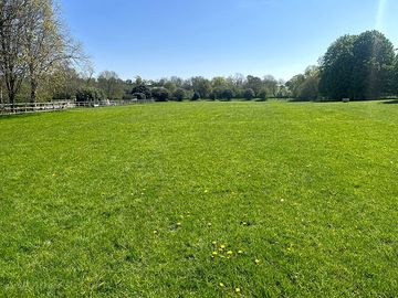 Tree-sheltered camping field