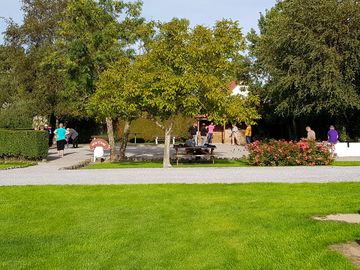 Play area