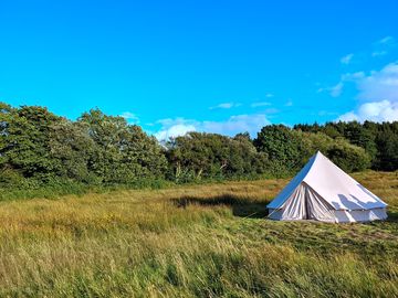 Bell tent nestled amongst wildflowers
