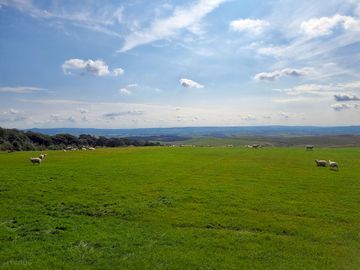 View from the site